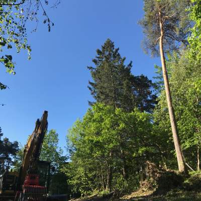Rivningsfirma - referens - Invernessvägen 6